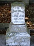 image of grave number 205777